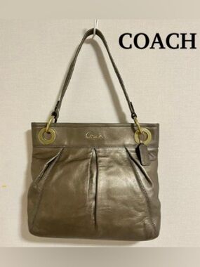 Coach Ashley 17605 Metallic Bag circa 2010